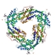 B-Phycoerythrin (B-PE) Fluorescent Protein (10mg:  Part B-PE-FIVE)